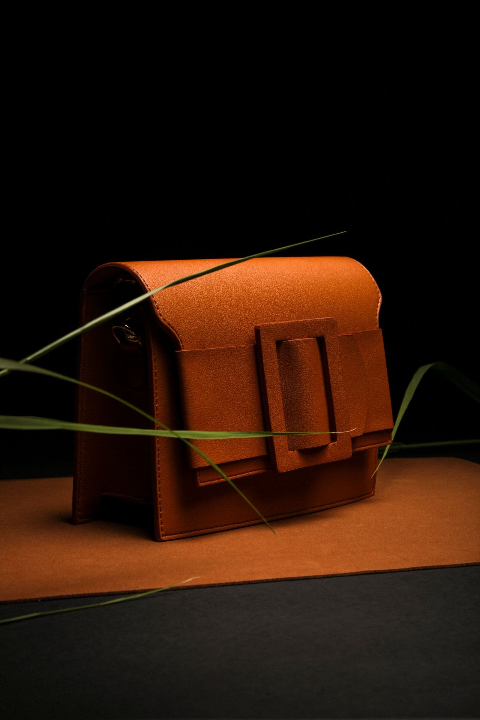 Bags, shown on a model or on its own